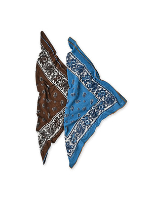 Tenjiku Feather Paisley Bandana