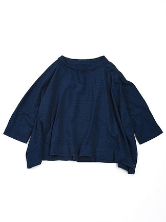 color number73 Indigo