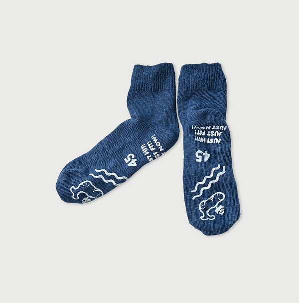 Plant Dye Dozume Tenjiku Socks Blueberry