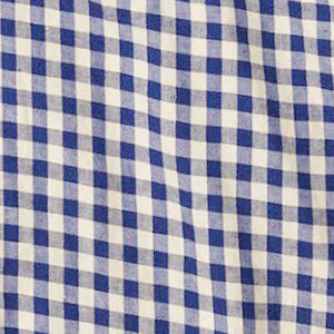 71 Blue Gingham
